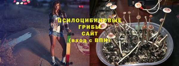 apvp Балахна